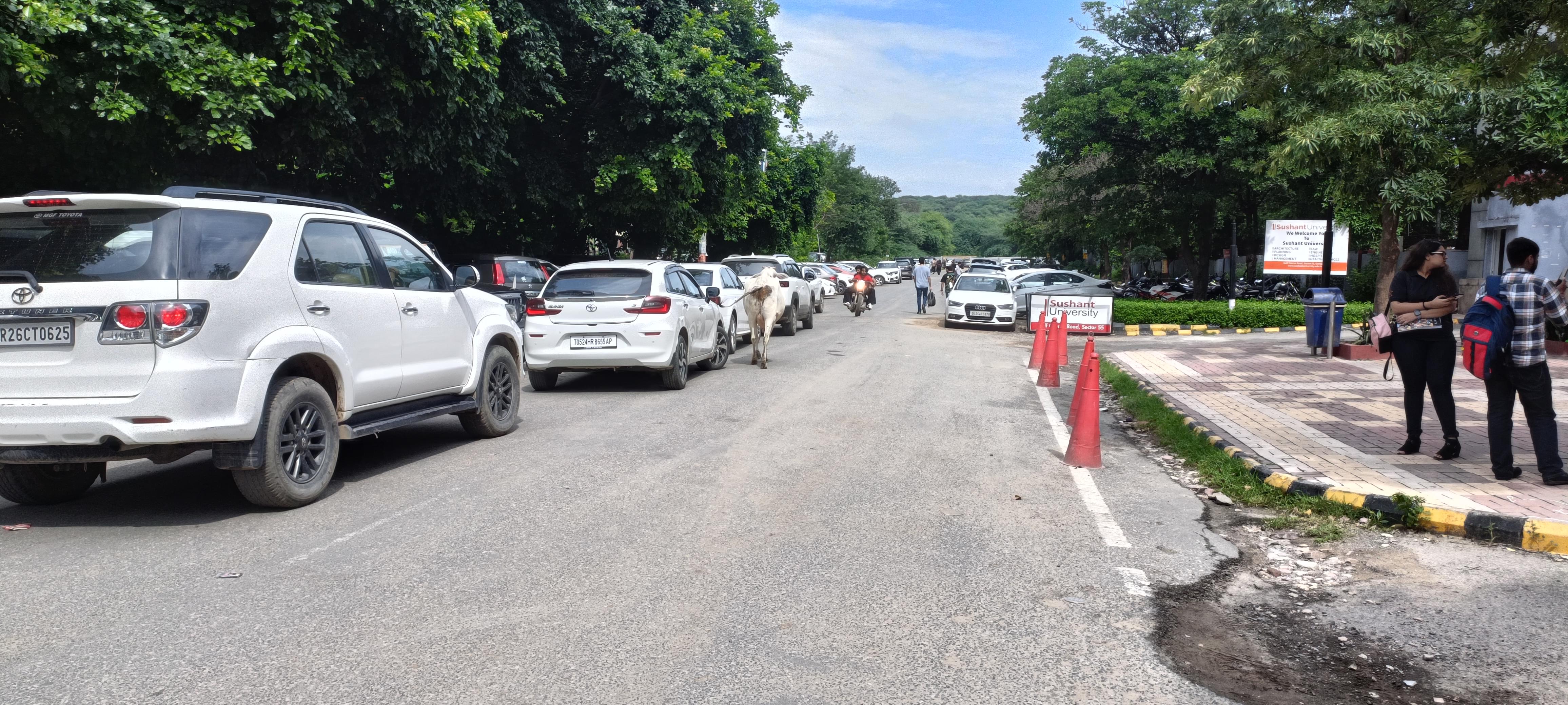 Sushant University Campus photo 18